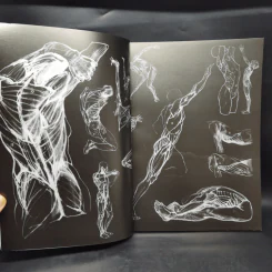 Anatomy for Arttist กายวิภาคอาร์ทิสต์ - มิเชล ลอริเชลลา รูปที่ 8