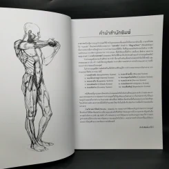 Anatomy for Arttist กายวิภาคอาร์ทิสต์ - มิเชล ลอริเชลลา รูปที่ 10