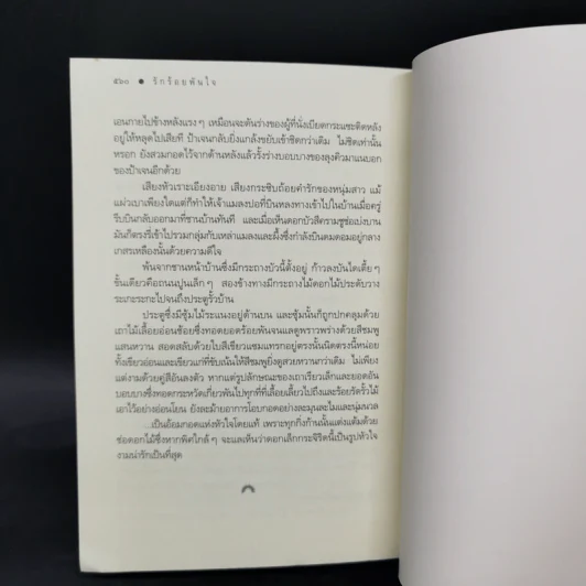 รักร้อยพันใจ - ดวงตะวัน รูปที่ 10