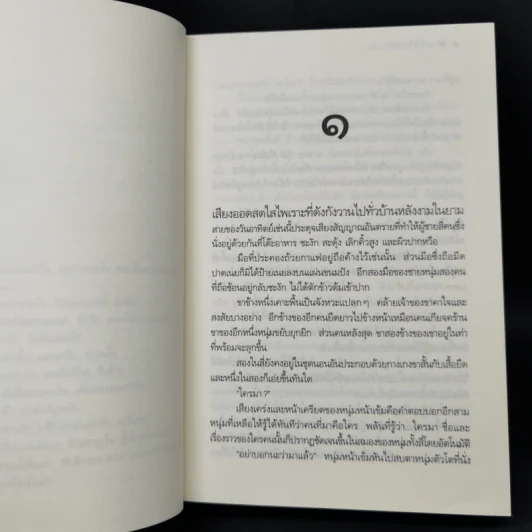 ดวงใจเจ้าเอ๋ย - ดวงตะวัน รูปที่ 9