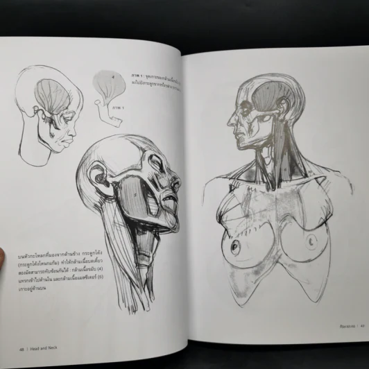 Anatomy for Arttist กายวิภาคอาร์ทิสต์ - มิเชล ลอริเชลลา รูปที่ 16