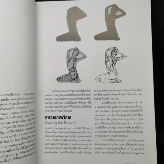 Anatomy for Arttist กายวิภาคอาร์ทิสต์ - มิเชล ลอริเชลลา รูปที่ 13