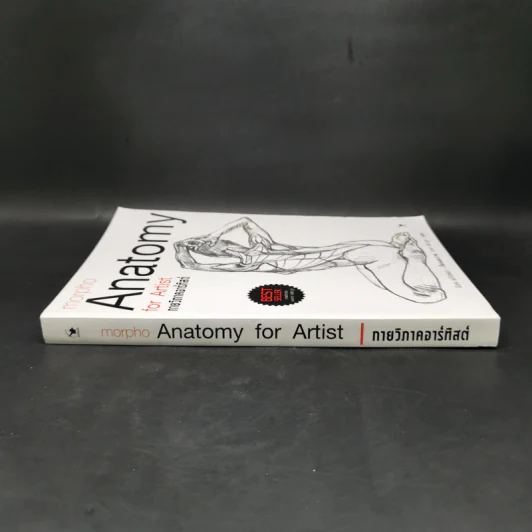 Anatomy for Arttist กายวิภาคอาร์ทิสต์ - มิเชล ลอริเชลลา รูปที่ 3