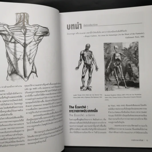 Anatomy for Arttist กายวิภาคอาร์ทิสต์ - มิเชล ลอริเชลลา รูปที่ 12