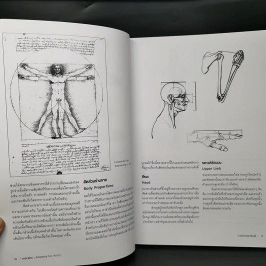 Anatomy for Arttist กายวิภาคอาร์ทิสต์ - มิเชล ลอริเชลลา รูปที่ 14