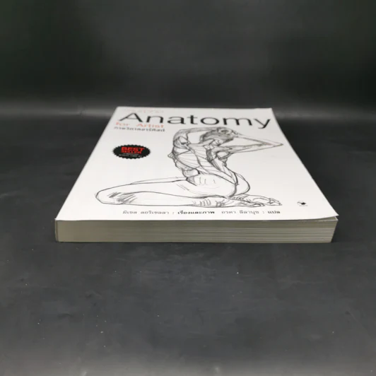 Anatomy for Arttist กายวิภาคอาร์ทิสต์ - มิเชล ลอริเชลลา รูปที่ 4