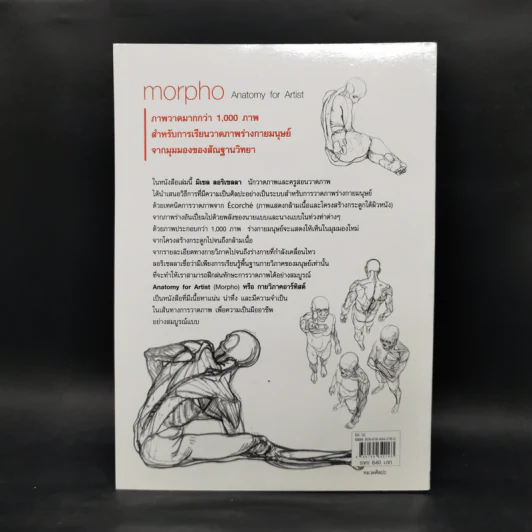 Anatomy for Arttist กายวิภาคอาร์ทิสต์ - มิเชล ลอริเชลลา รูปที่ 2