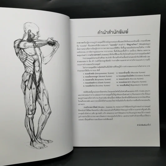 Anatomy for Arttist กายวิภาคอาร์ทิสต์ - มิเชล ลอริเชลลา รูปที่ 10