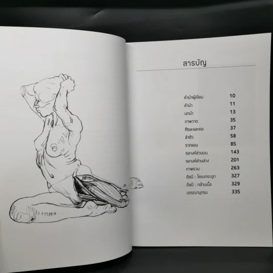 Anatomy for Arttist กายวิภาคอาร์ทิสต์ - มิเชล ลอริเชลลา รูปที่ 11