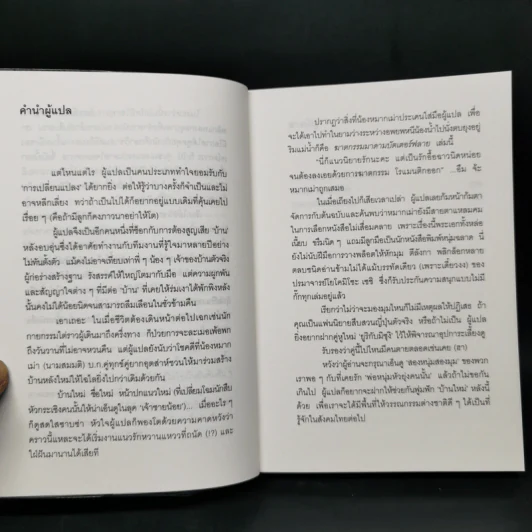 ฆาตกรรมมาดาม บัตเตอร์ฟลาย - โยโคมิโซะ เซซิ รูปที่ 9