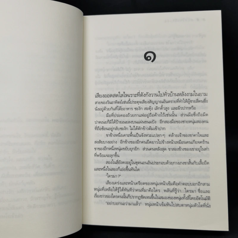 ดวงใจเจ้าเอ๋ย - ดวงตะวัน รูปที่ 9