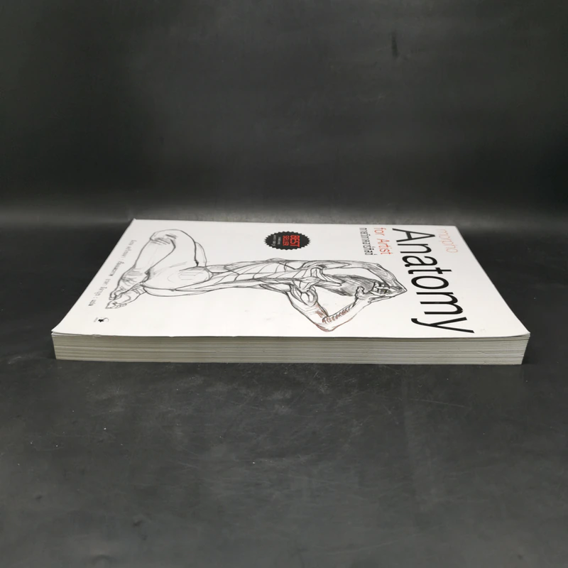 Anatomy for Arttist กายวิภาคอาร์ทิสต์ - มิเชล ลอริเชลลา รูปที่ 5