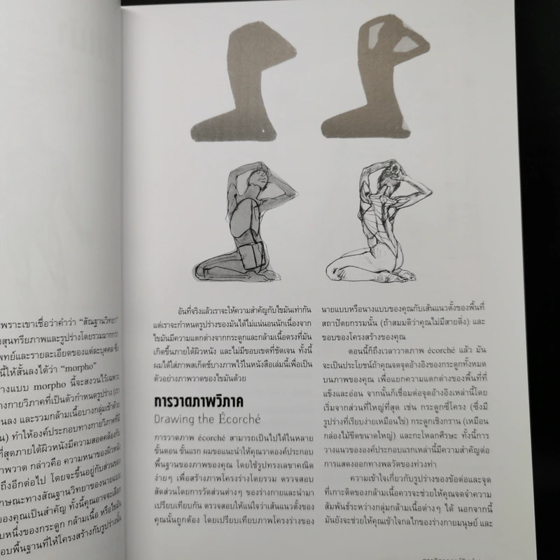 Anatomy for Arttist กายวิภาคอาร์ทิสต์ - มิเชล ลอริเชลลา รูปที่ 13