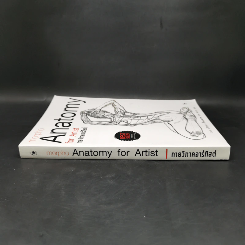 Anatomy for Arttist กายวิภาคอาร์ทิสต์ - มิเชล ลอริเชลลา รูปที่ 3