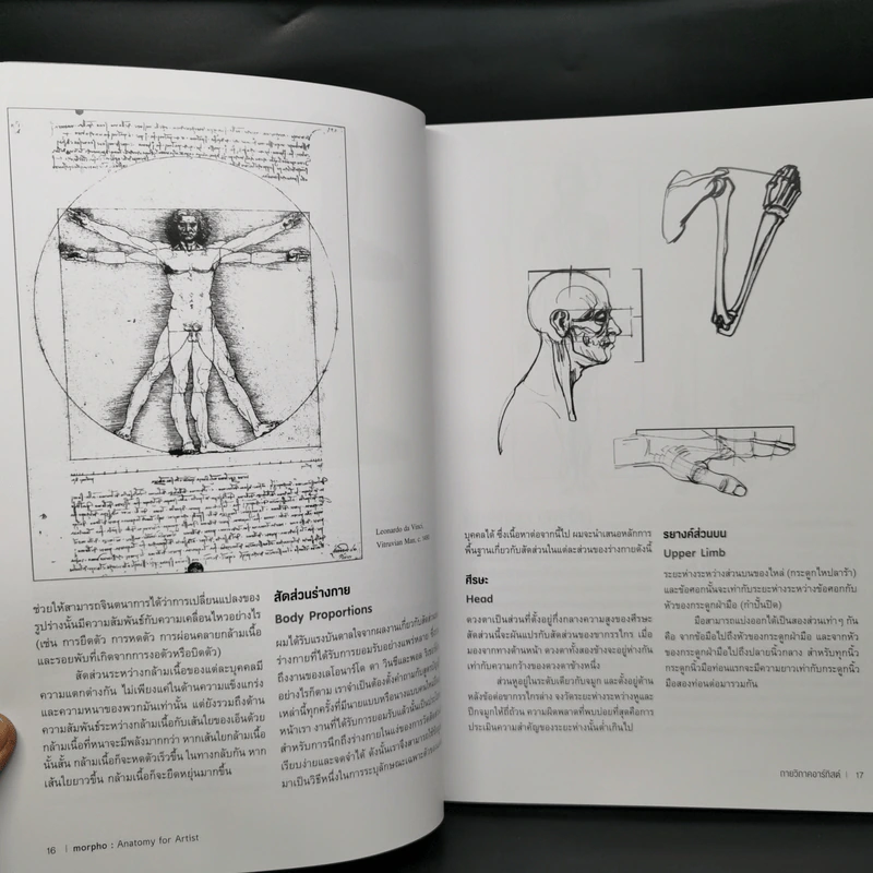 Anatomy for Arttist กายวิภาคอาร์ทิสต์ - มิเชล ลอริเชลลา รูปที่ 14