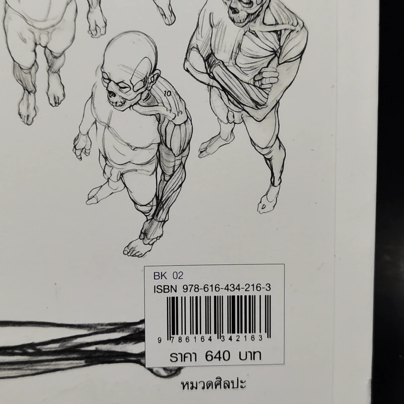 Anatomy for Arttist กายวิภาคอาร์ทิสต์ - มิเชล ลอริเชลลา รูปที่ 19
