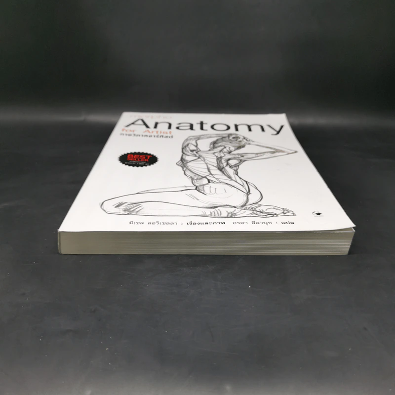 Anatomy for Arttist กายวิภาคอาร์ทิสต์ - มิเชล ลอริเชลลา รูปที่ 4