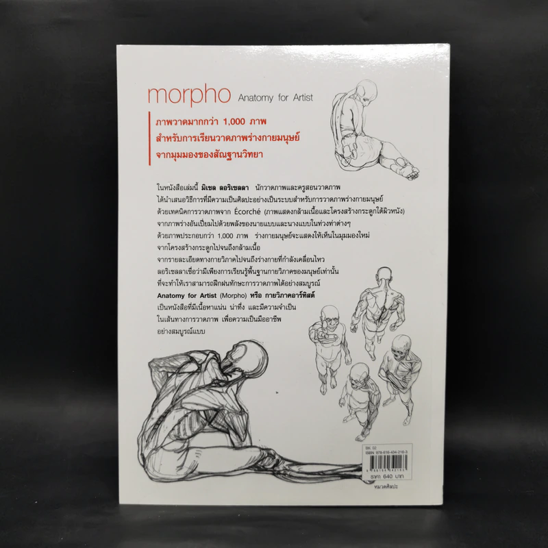 Anatomy for Arttist กายวิภาคอาร์ทิสต์ - มิเชล ลอริเชลลา รูปที่ 2