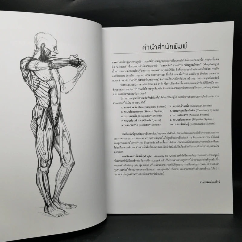 Anatomy for Arttist กายวิภาคอาร์ทิสต์ - มิเชล ลอริเชลลา รูปที่ 10