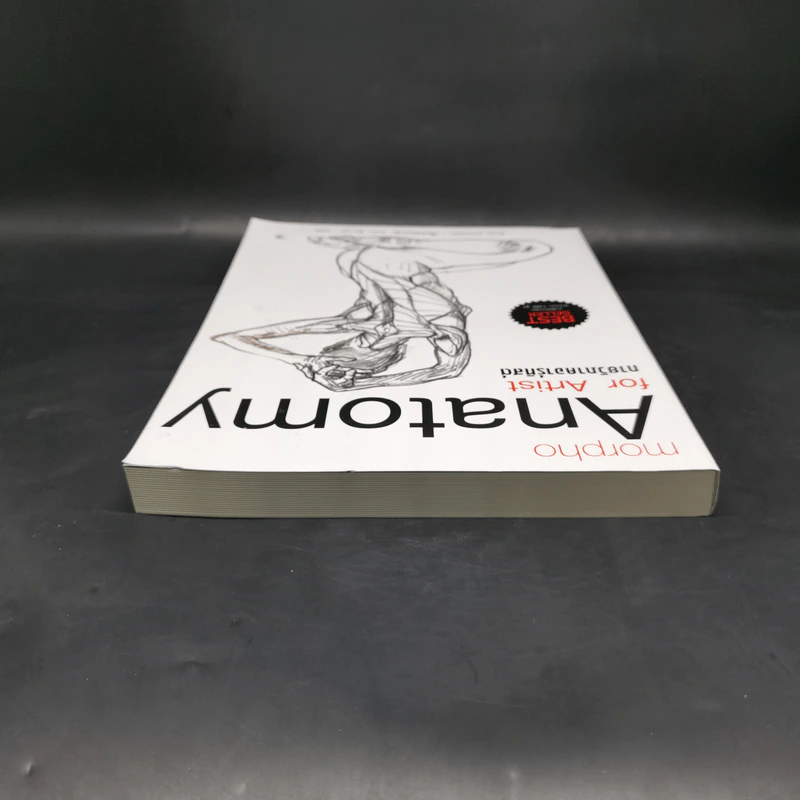 Anatomy for Arttist กายวิภาคอาร์ทิสต์ - มิเชล ลอริเชลลา รูปที่ 6