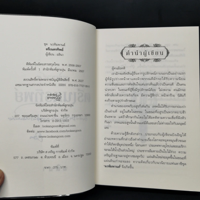 ตรีเนตรทิพย์ - อลินา รูปที่ 9