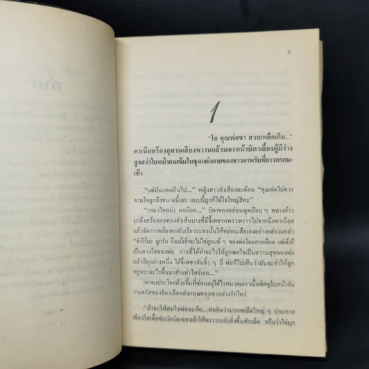 ตามหัวใจไปสุดหล้า - นิดา รูปที่ 9