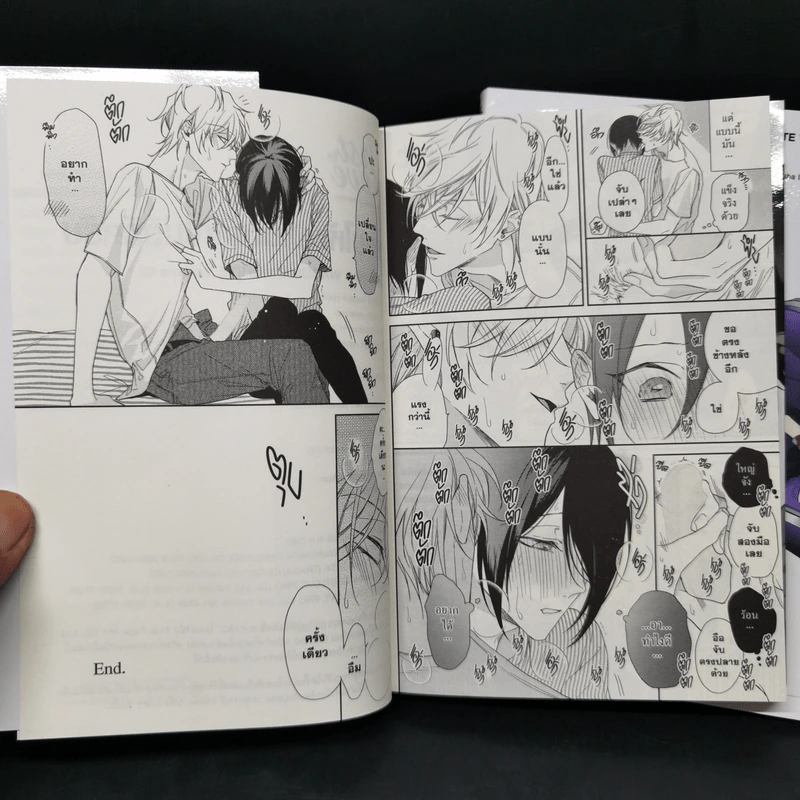 การ์ตูนวาย สอนให้ผมเป็นเด็กไม่ดีทีครับ 2 เล่มจบ - ไฮดะ นานาโกะ (Haida Nanako) รูปที่ 9