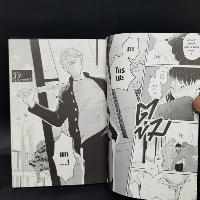 การ์ตูนวาย เมกุมิกับสึกุมิ เล่ม 1-2 - S อิมิสึรุ (Mitsuru Si) รูปที่ 9