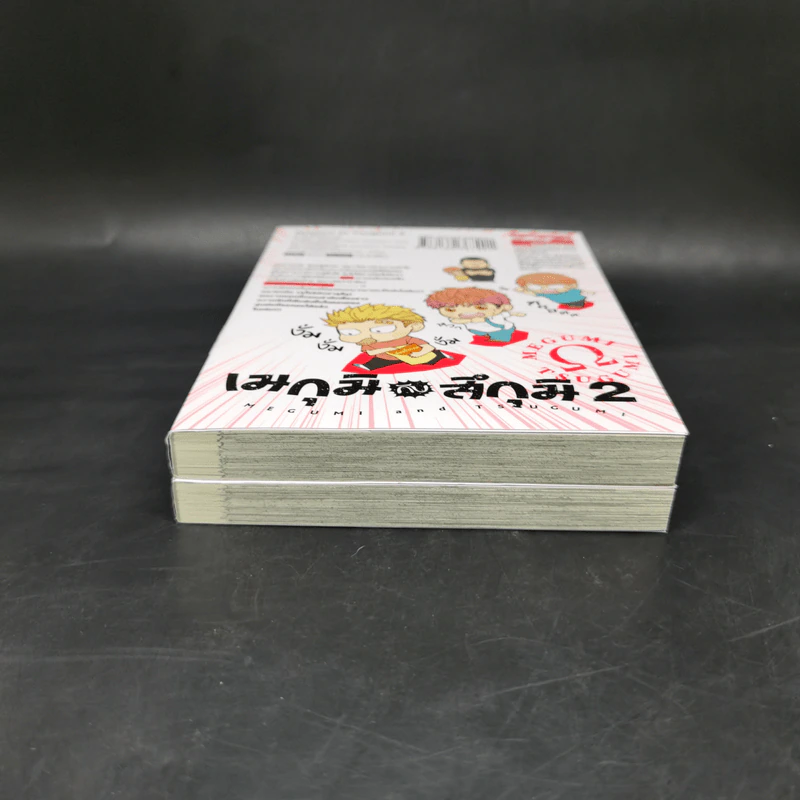 การ์ตูนวาย เมกุมิกับสึกุมิ เล่ม 1-2 - S อิมิสึรุ (Mitsuru Si) รูปที่ 3