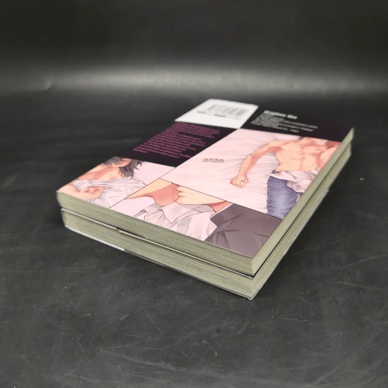 การ์ตูนวาย ดรักเลสเซ็กส์ เล่ม1-2 รูปที่ 7