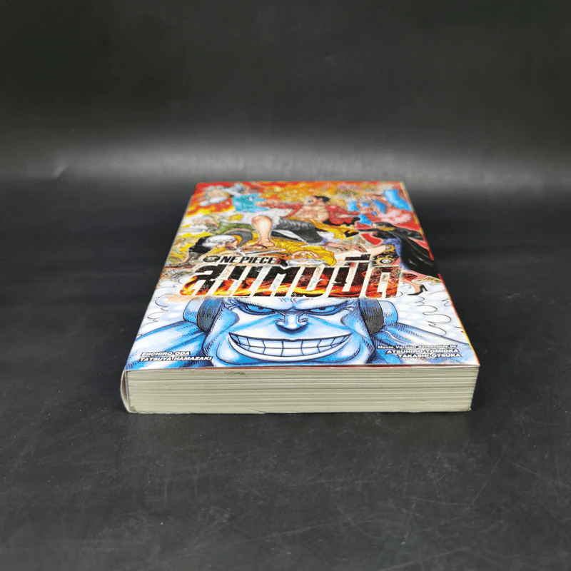 นิยาย One Piece วันพีซ สแตมปีด รูปที่ 4