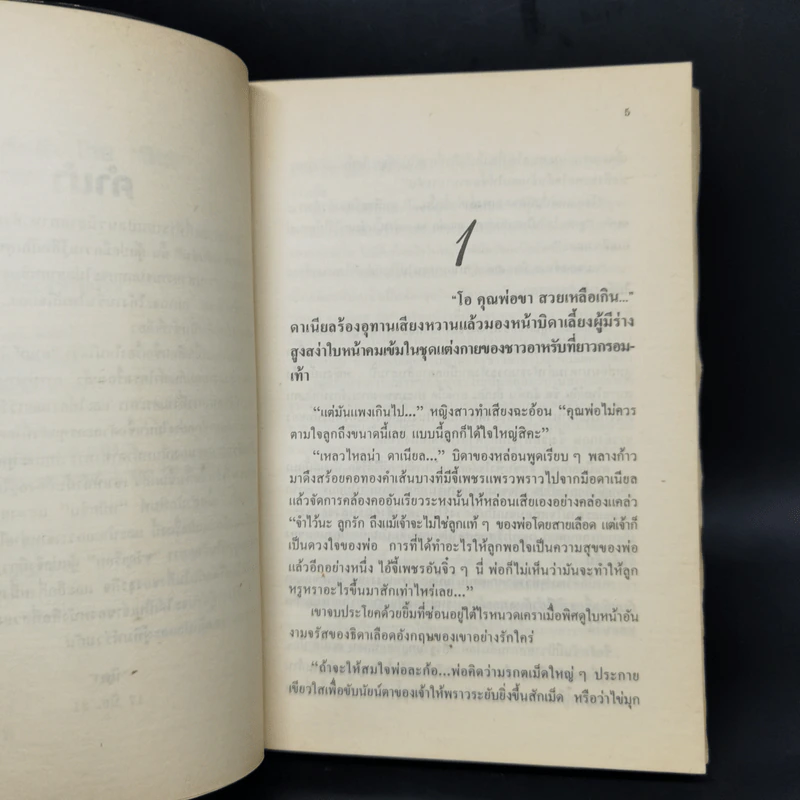 ตามหัวใจไปสุดหล้า - นิดา รูปที่ 9