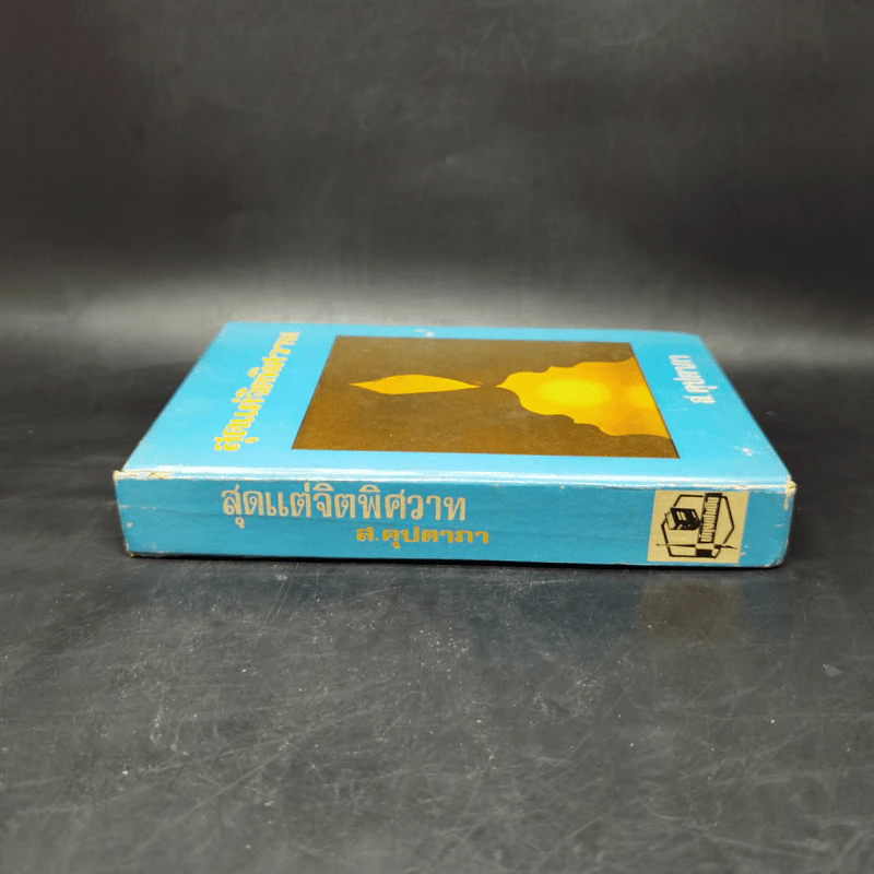 สุดแต่จิตพิศวาท - ส.คุปตาภา รูปที่ 3