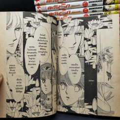 ตะวันรักที่ปลายฟ้า 28 เล่มจบ รูปที่ 11