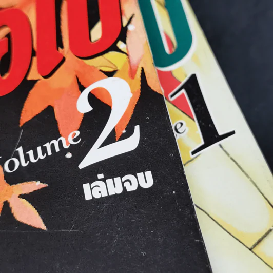 จะรักเธอเสมอไป 2 เล่มจบ รูปที่ 12