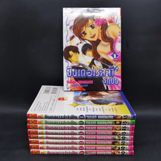 ซินเดอเรลล่าจำเป็น 9 เล่มจบ รูปที่ 1