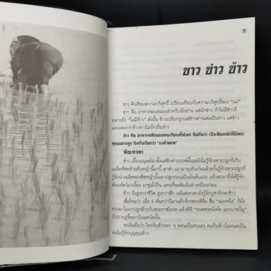 อาหารไทยสิแน่กว่าใคร - พลศรี คชาชีวะ รูปที่ 9