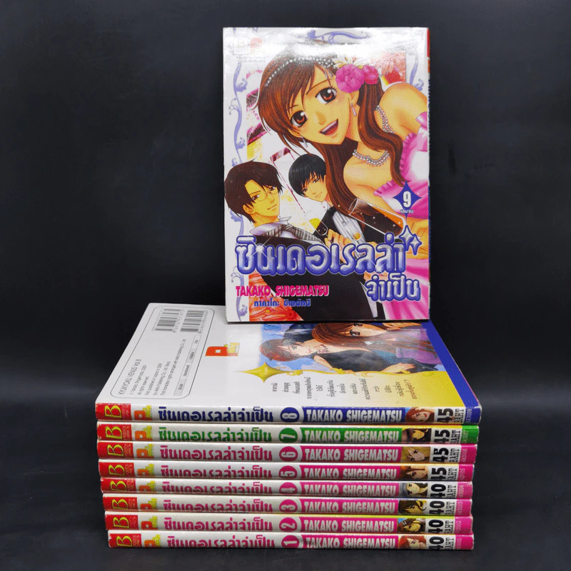 ซินเดอเรลล่าจำเป็น 9 เล่มจบ รูปที่ 1