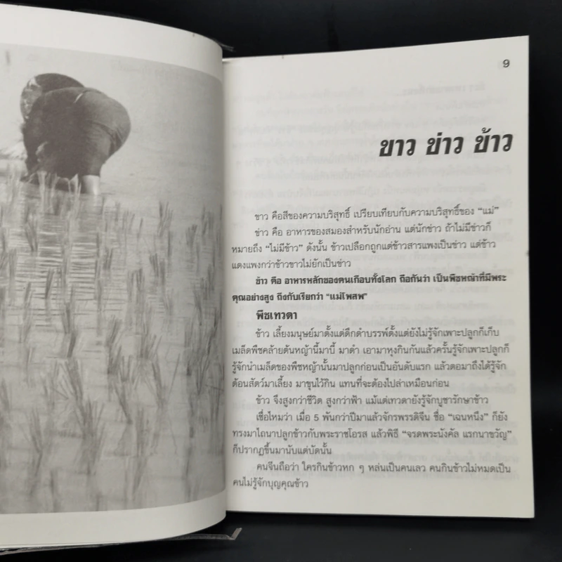 อาหารไทยสิแน่กว่าใคร - พลศรี คชาชีวะ รูปที่ 9