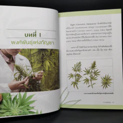 กัญชา สรรพยาแห่งความหวัง - ส.สุทธิพันธ์ รูปที่ 10