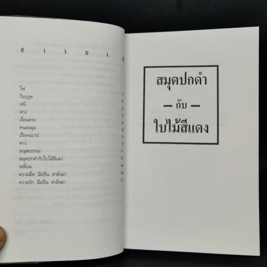 สมุดปกดำกับใบไม้สีแดง - วินทร์ เลียววาริณ รูปที่ 9