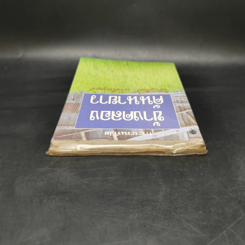 ข้างคลองคันนายาว - เนาวรัตน์ พงษ์ไพบูลย์ รูปที่ 6