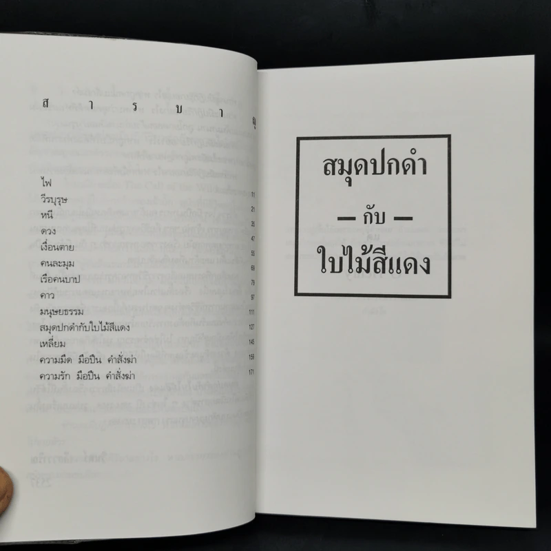สมุดปกดำกับใบไม้สีแดง - วินทร์ เลียววาริณ รูปที่ 9