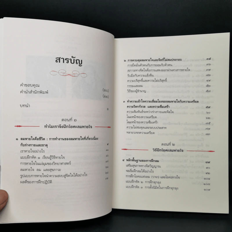 หายใจให้เป็น - Anyen Rinpoche, Allison Choying Zangmo รูปที่ 9