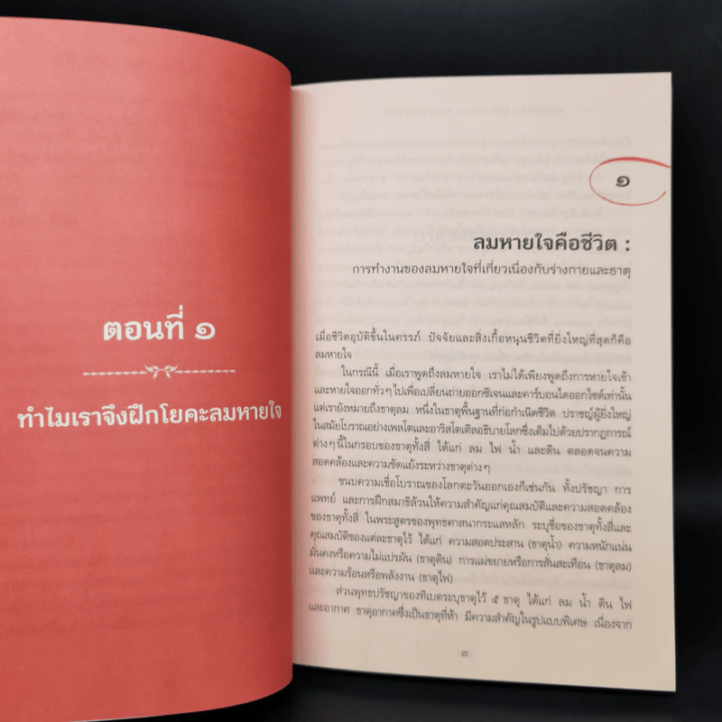 หายใจให้เป็น - Anyen Rinpoche, Allison Choying Zangmo รูปที่ 12
