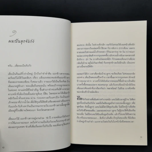 ไอ้เพ้ง จากลูกจับกัง สู่รัฐมนตรี - พงษ์ศักดิ์ รักตพงศ์ไพศาล รูปที่ 11