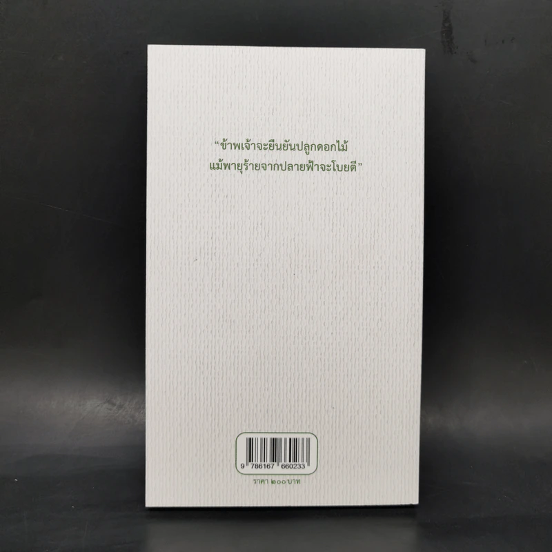 ใจปัจจุบัน - กุดจี่ พรชัย แสนยะมูล รูปที่ 2