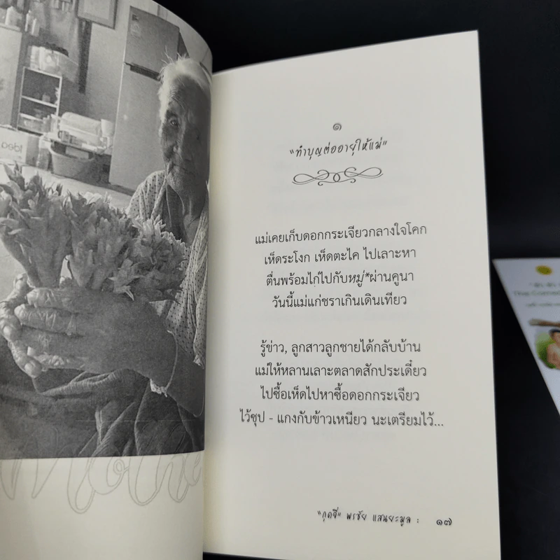 กวีนิพนธ์ แม่ - กุดจี่ พรชัย แสนยะมูล รูปที่ 12
