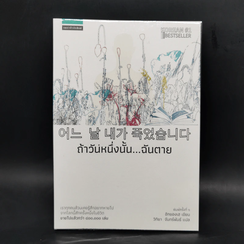 ถ้าวันหนึ่งนั้น ฉันตาย - อีกยองเฮ รูปที่ 1