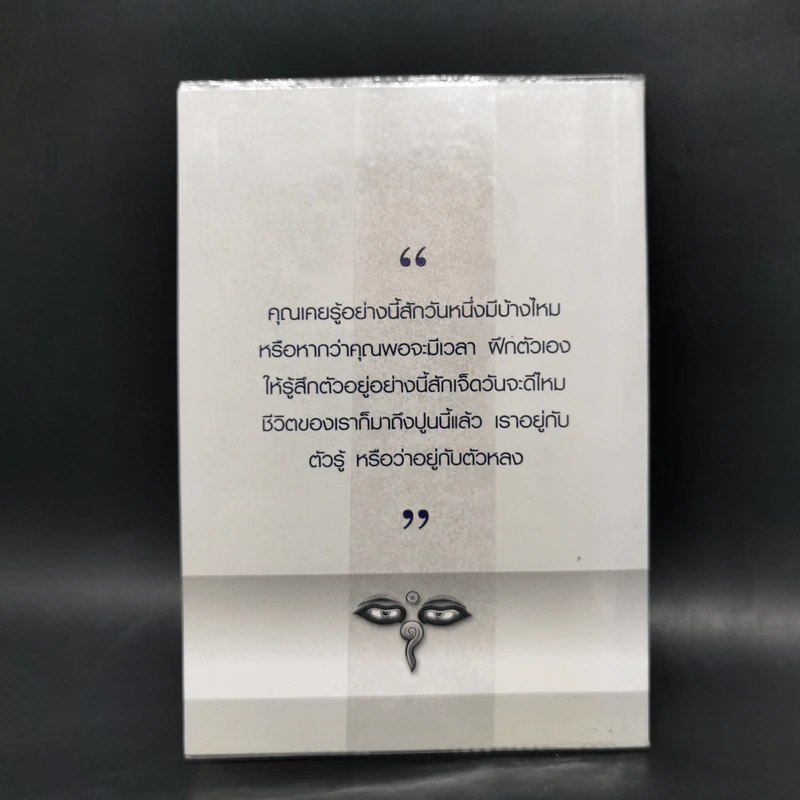 ตาวิเศษ - หลวงพ่อคำเทียน สุวณฺโณ รูปที่ 2